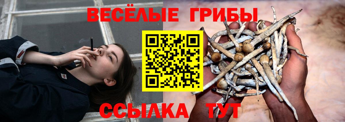 Псилоцибиновые грибы ЛСД Заринск