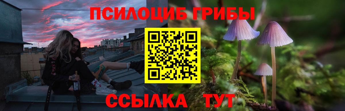 Псилоцибиновые грибы Psilocybine cubensis  Галлюциногенные грибы мицелий  Заринск  Вход с VPN 